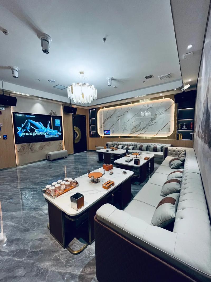 丽水商务ktv体验怎么样值得选择-松阳县ktv预定