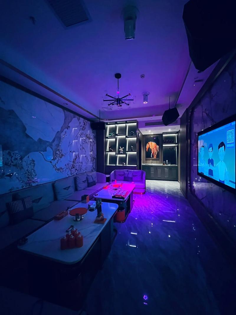 丽水商务ktv计时攻略-松阳县ktv预定